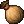 Pakunek brazowy