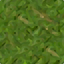 Grass, HD